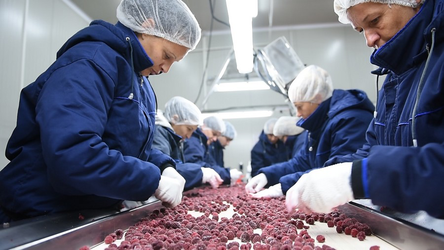 Processing line